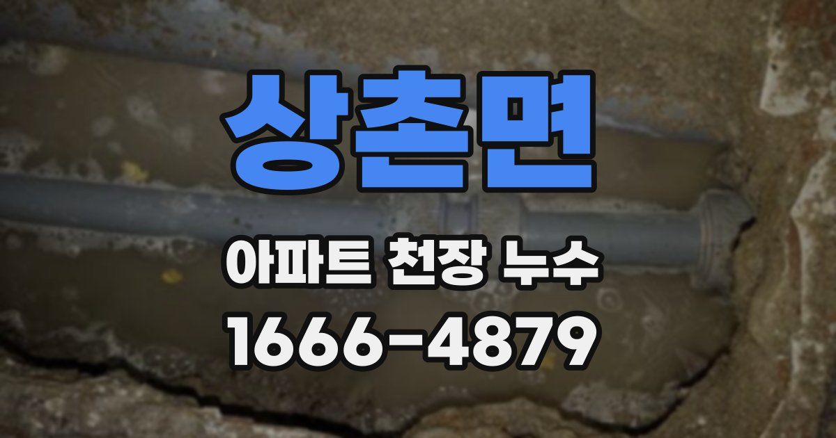 상촌면 아파트 천장 누수