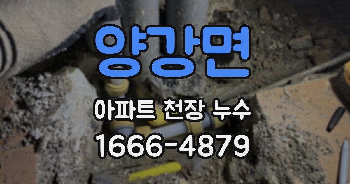 양강면 아파트 천장 누수