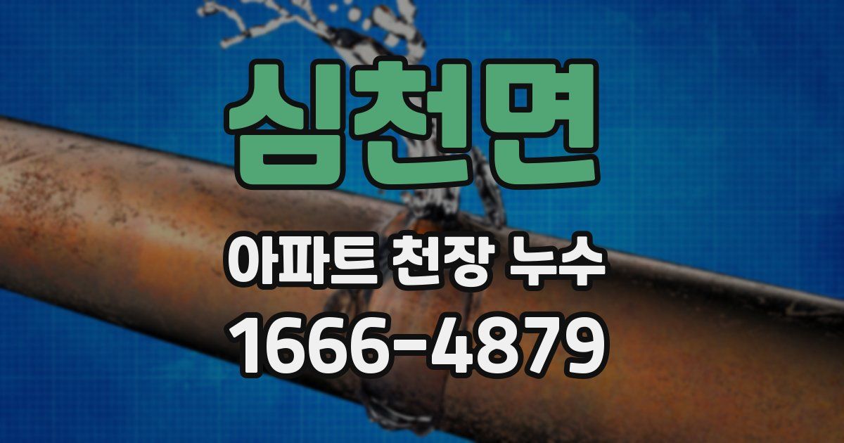심천면 아파트 천장 누수