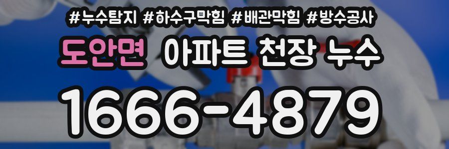 도안면 아파트 천장 누수