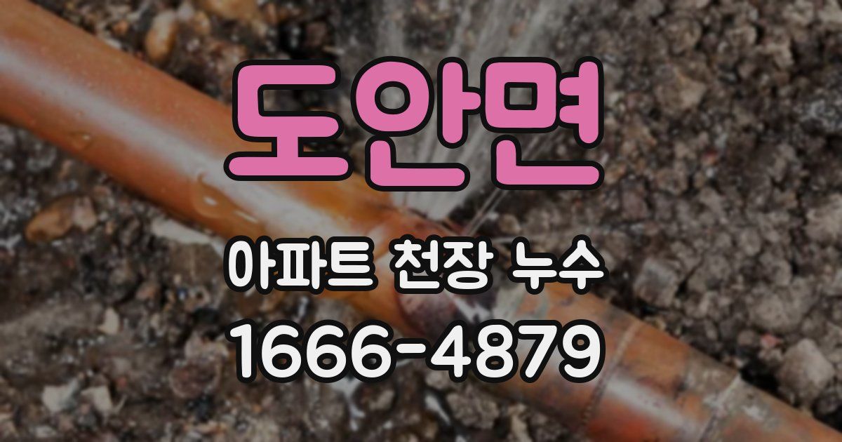 도안면 아파트 천장 누수