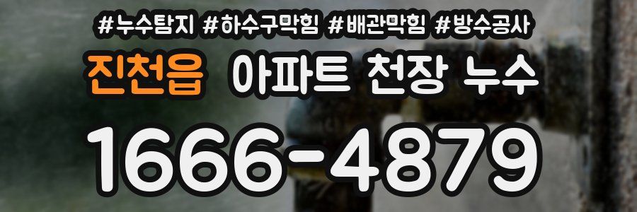 진천읍 아파트 천장 누수
