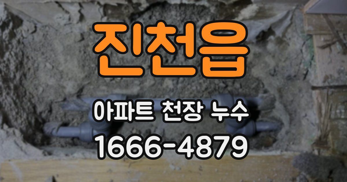 진천읍 아파트 천장 누수