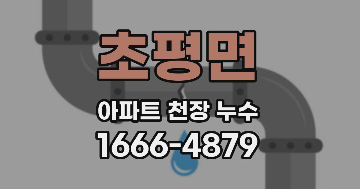 초평면 아파트 천장 누수