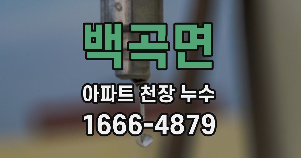 백곡면 아파트 천장 누수