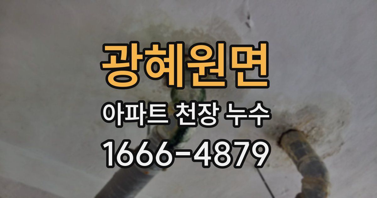 광혜원면 아파트 천장 누수