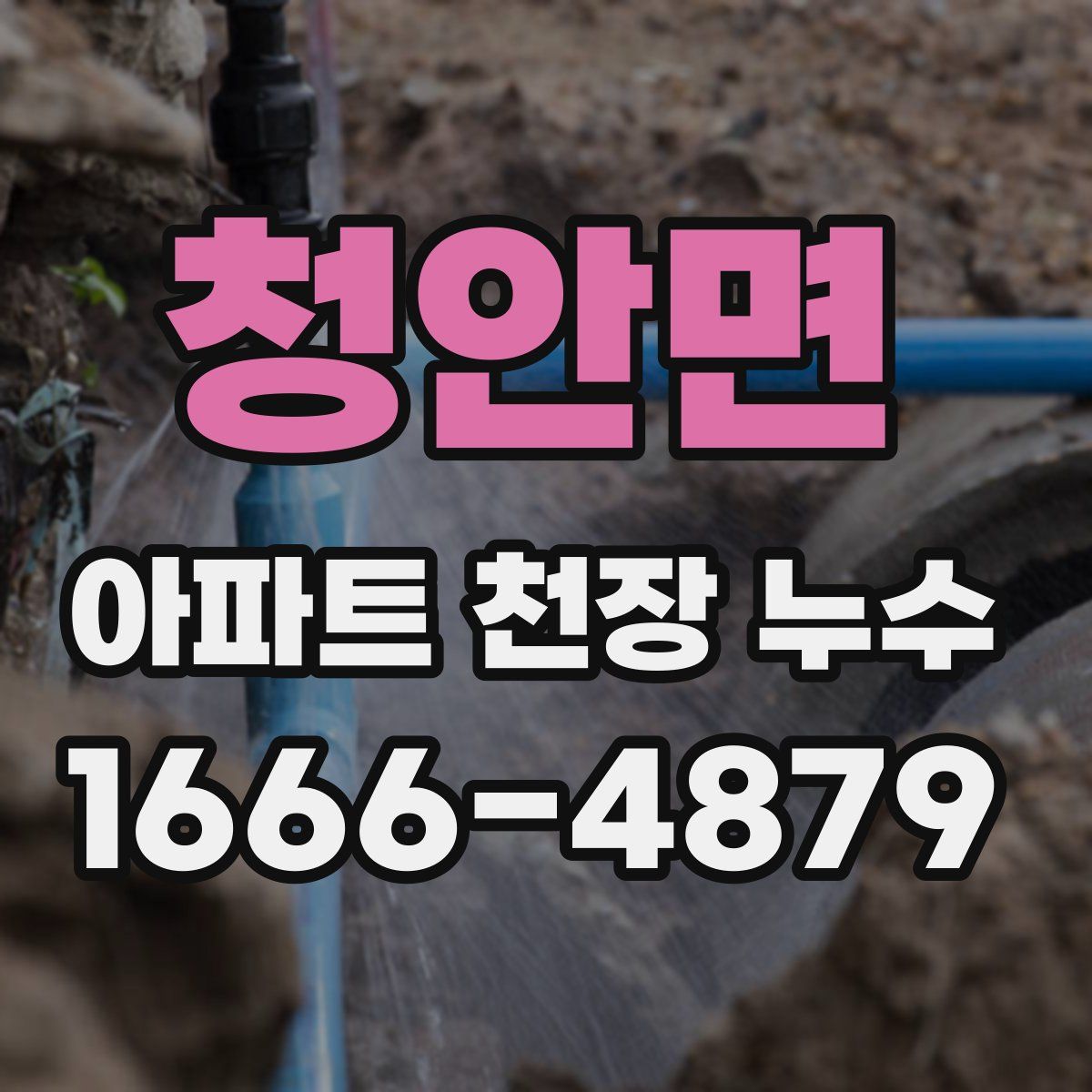 청안면 아파트 천장 누수