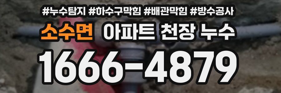 소수면 아파트 천장 누수