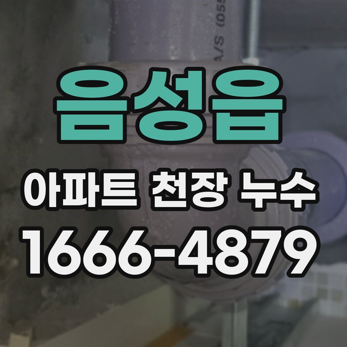 음성읍 아파트 천장 누수