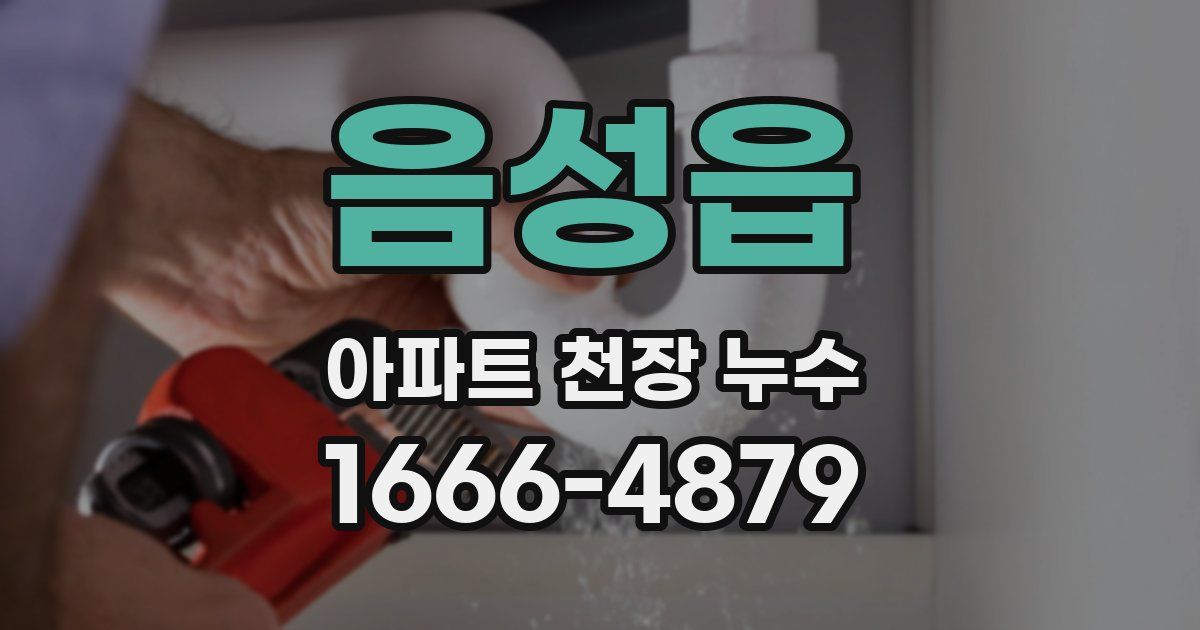 음성읍 아파트 천장 누수
