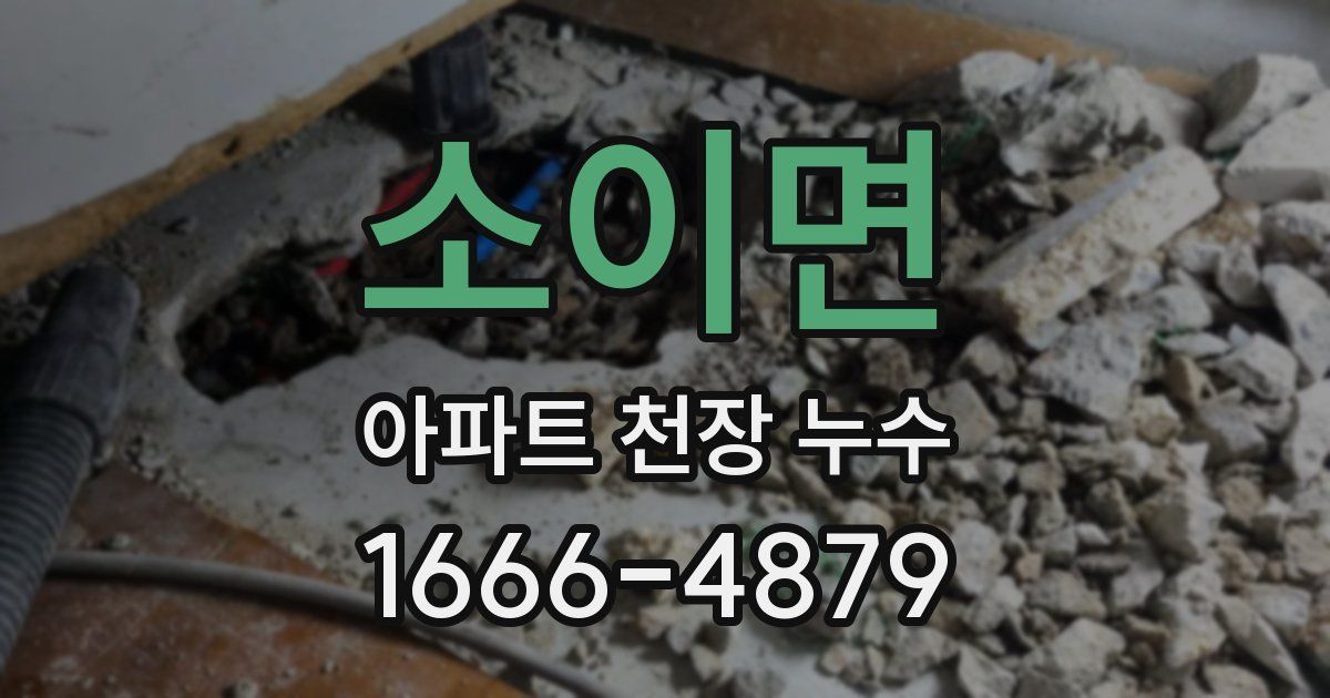 소이면 아파트 천장 누수