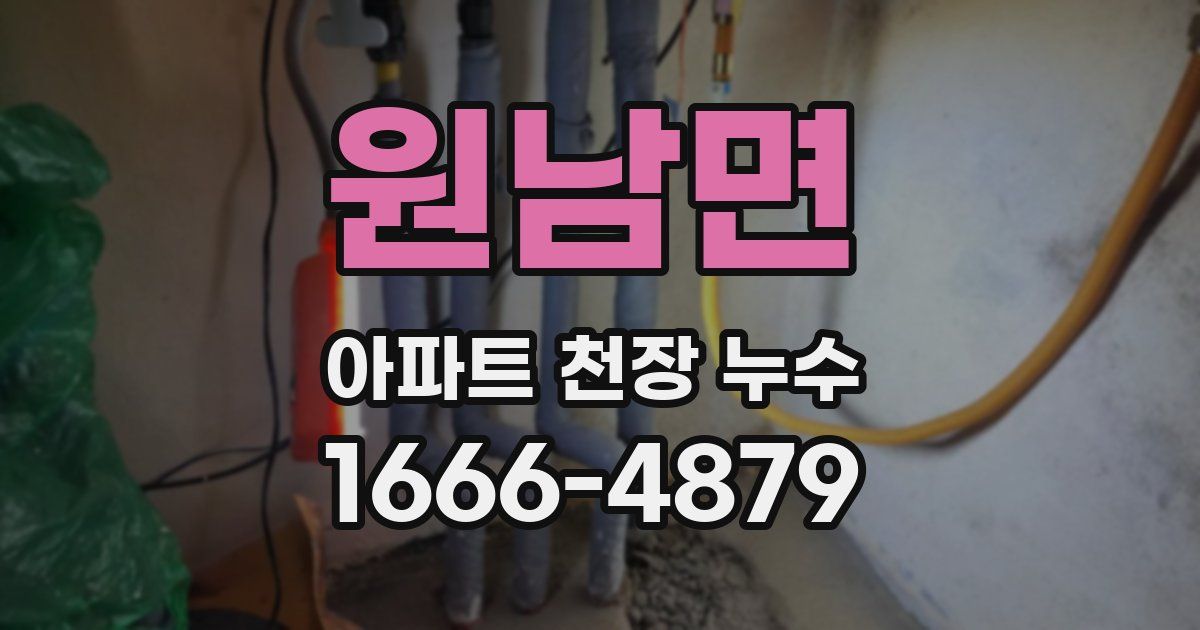 원남면 아파트 천장 누수