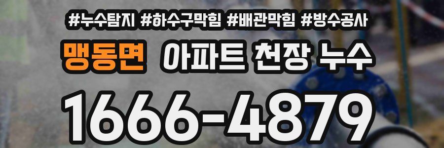 맹동면 아파트 천장 누수