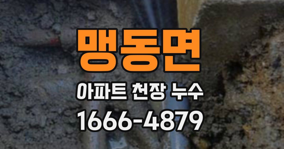 맹동면 아파트 천장 누수
