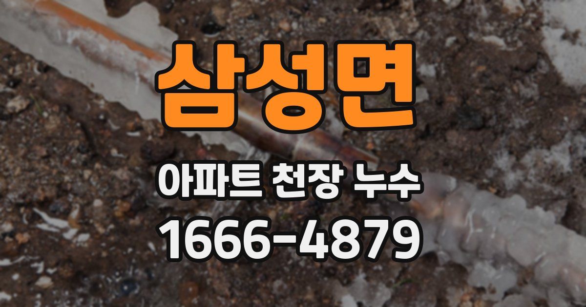 삼성면 아파트 천장 누수