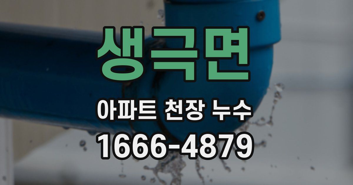 생극면 아파트 천장 누수
