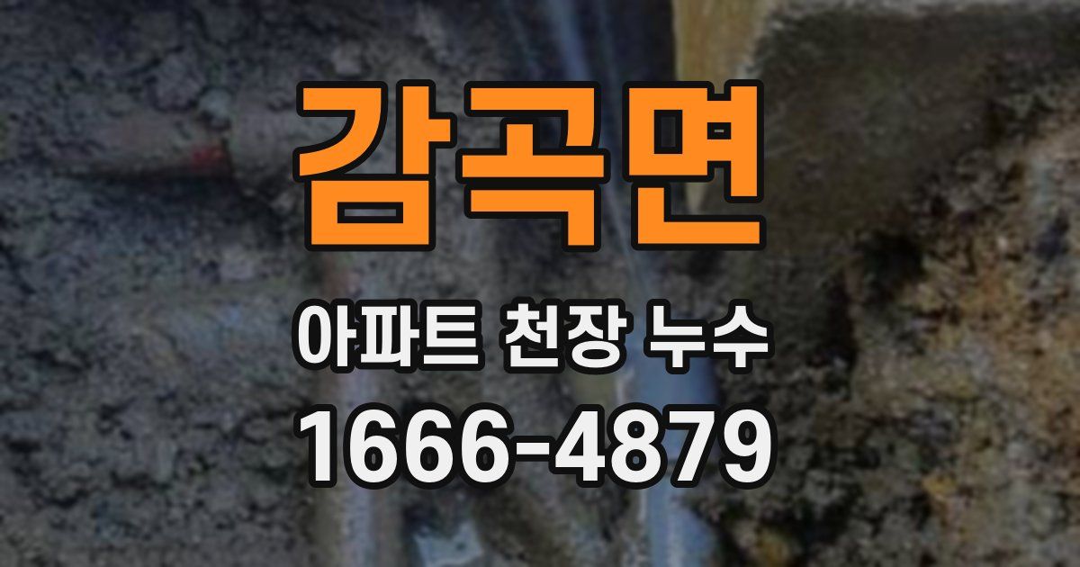 감곡면 아파트 천장 누수