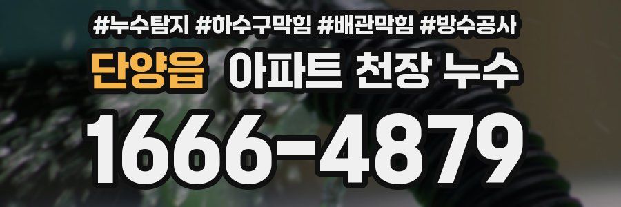 단양읍 아파트 천장 누수
