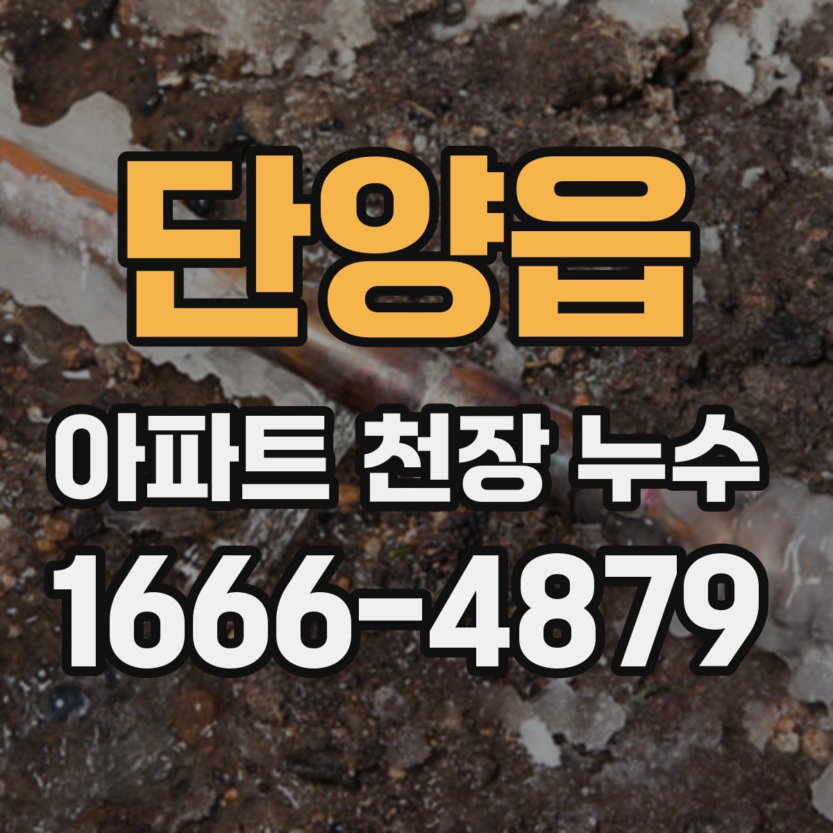 단양읍 아파트 천장 누수
