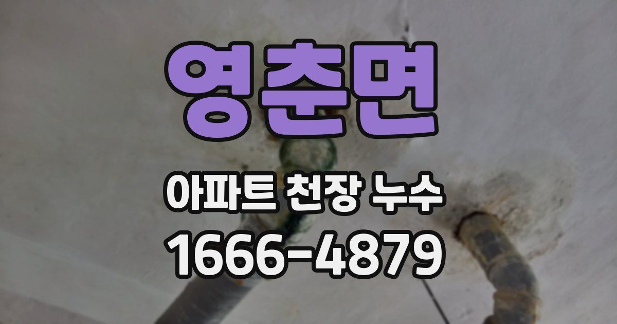 영춘면 아파트 천장 누수
