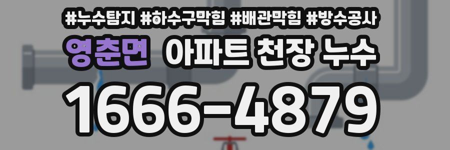 영춘면 아파트 천장 누수