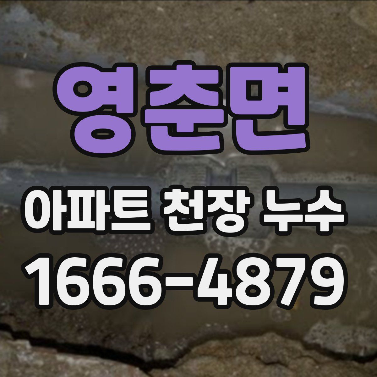 영춘면 아파트 천장 누수