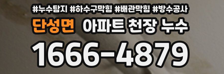 단성면 아파트 천장 누수