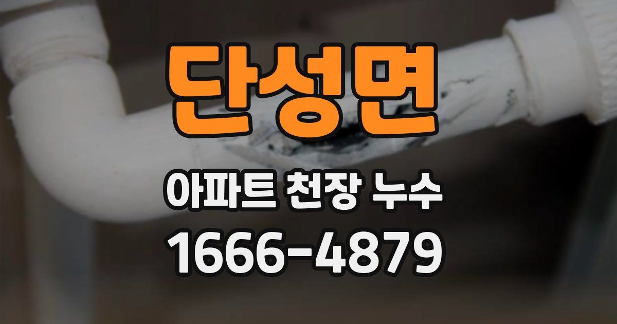 단성면 아파트 천장 누수