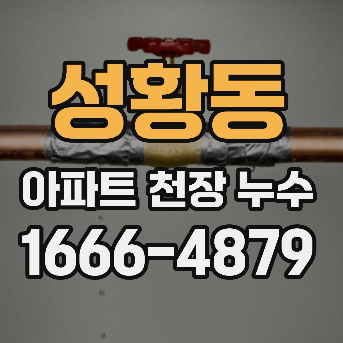 성황동 아파트 천장 누수