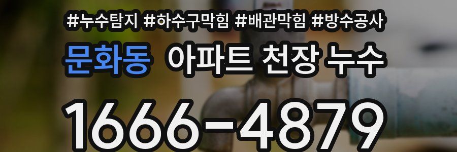 문화동 아파트 천장 누수