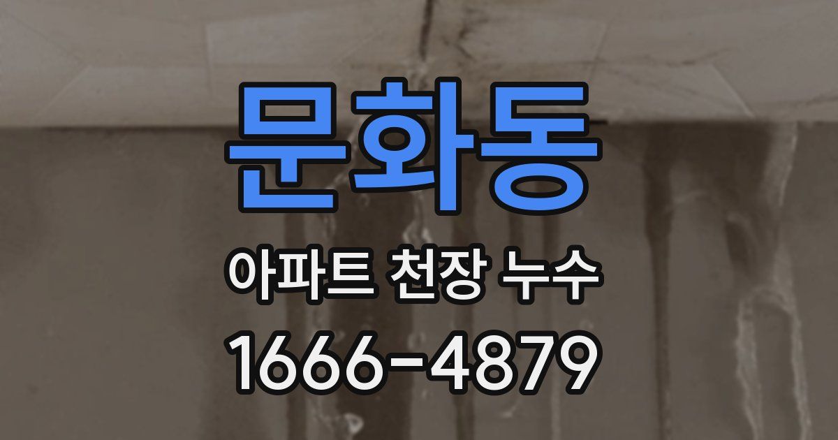 문화동 아파트 천장 누수