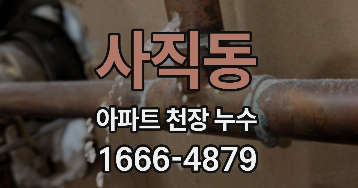 사직동 아파트 천장 누수