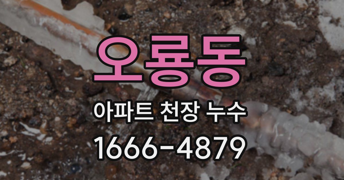 오룡동 아파트 천장 누수