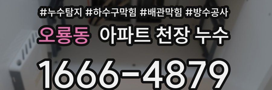 오룡동 아파트 천장 누수