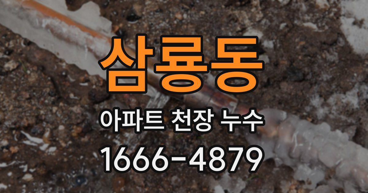 삼룡동 아파트 천장 누수