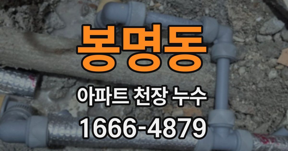 봉명동 아파트 천장 누수