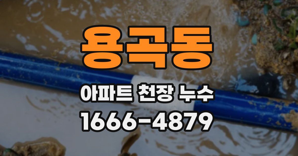 용곡동 아파트 천장 누수