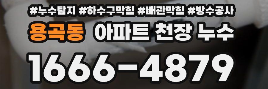 용곡동 아파트 천장 누수