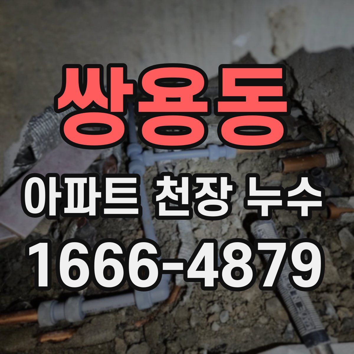 쌍용동 아파트 천장 누수
