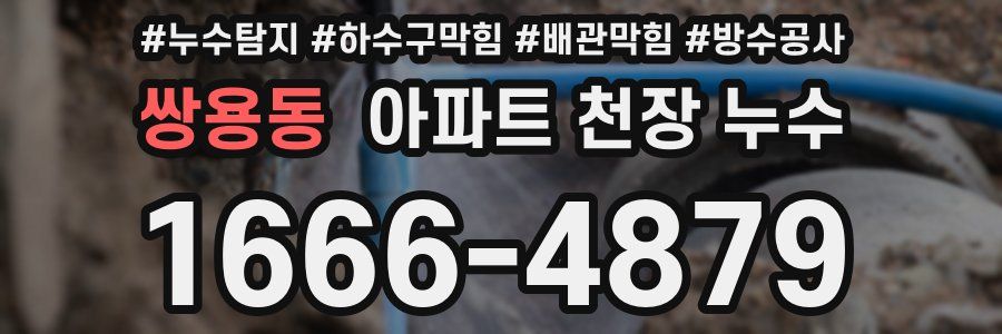 쌍용동 아파트 천장 누수