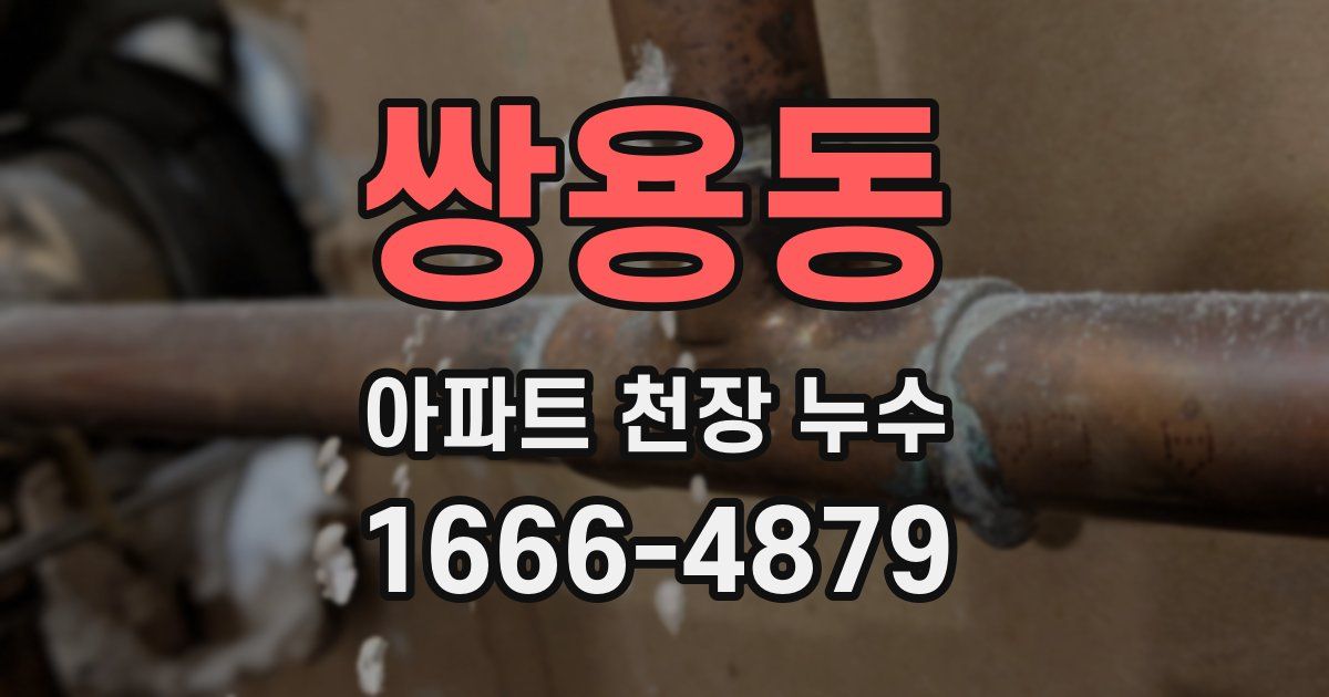 쌍용동 아파트 천장 누수