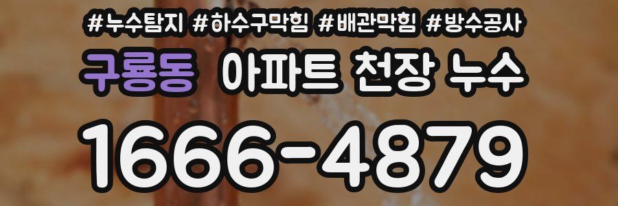 구룡동 아파트 천장 누수