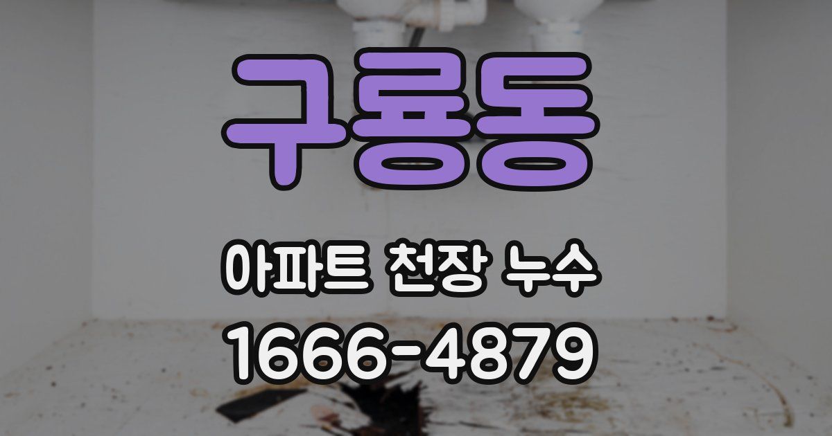 구룡동 아파트 천장 누수