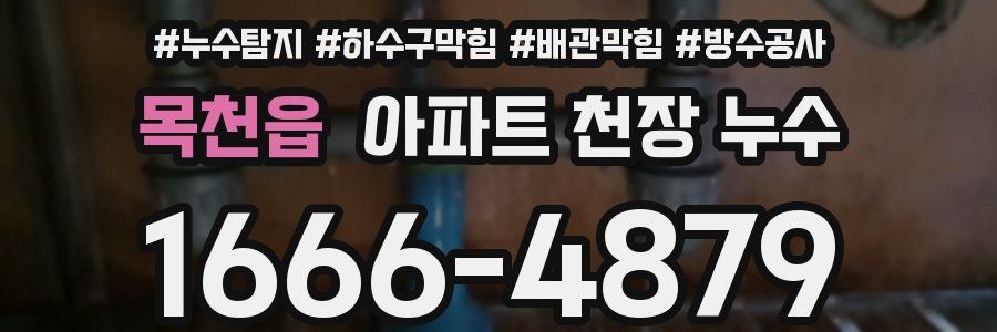 목천읍 아파트 천장 누수