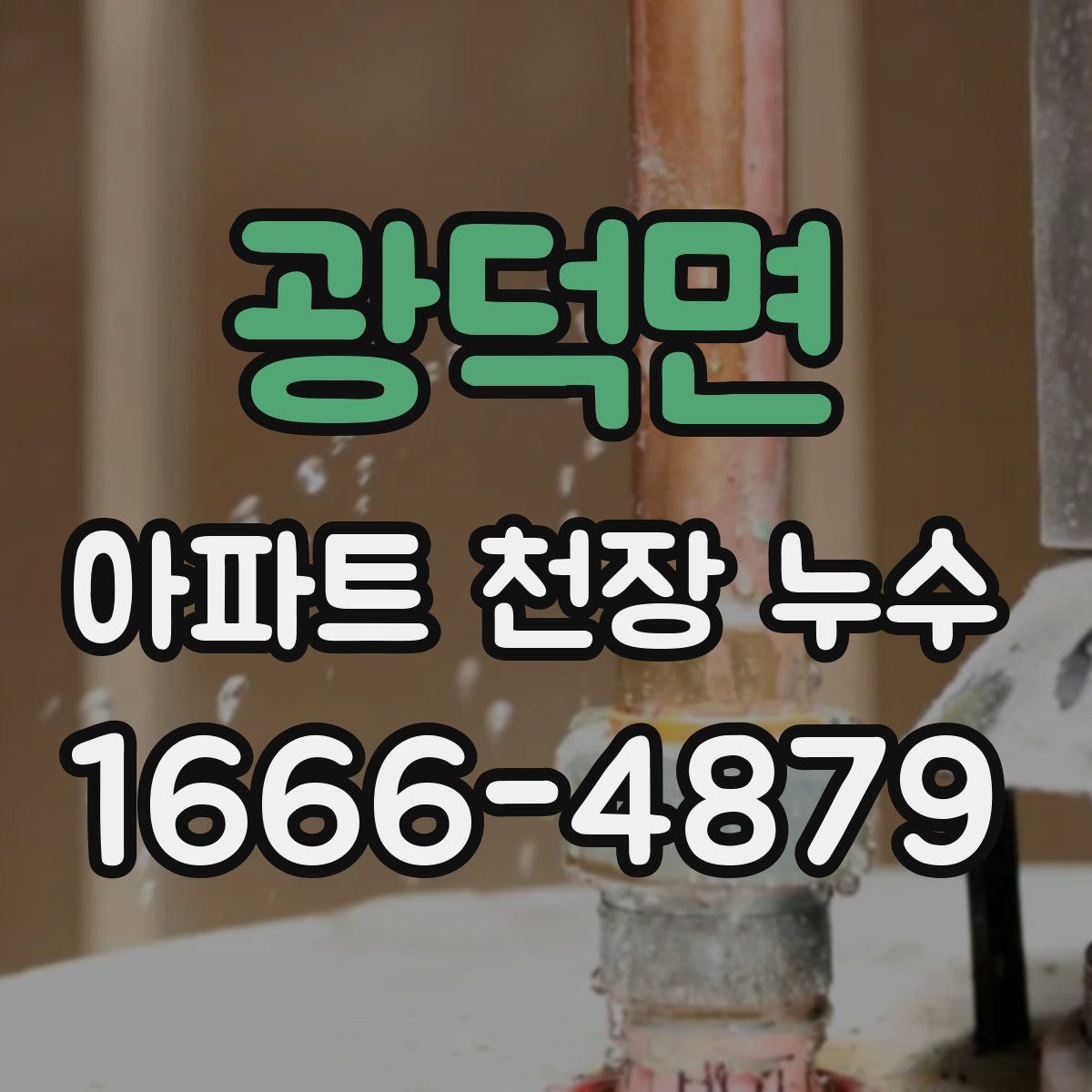 광덕면 아파트 천장 누수