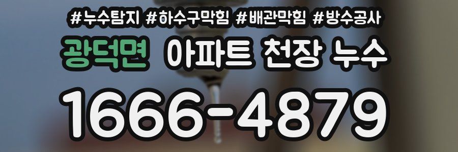 광덕면 아파트 천장 누수