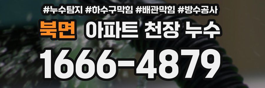 북면 아파트 천장 누수