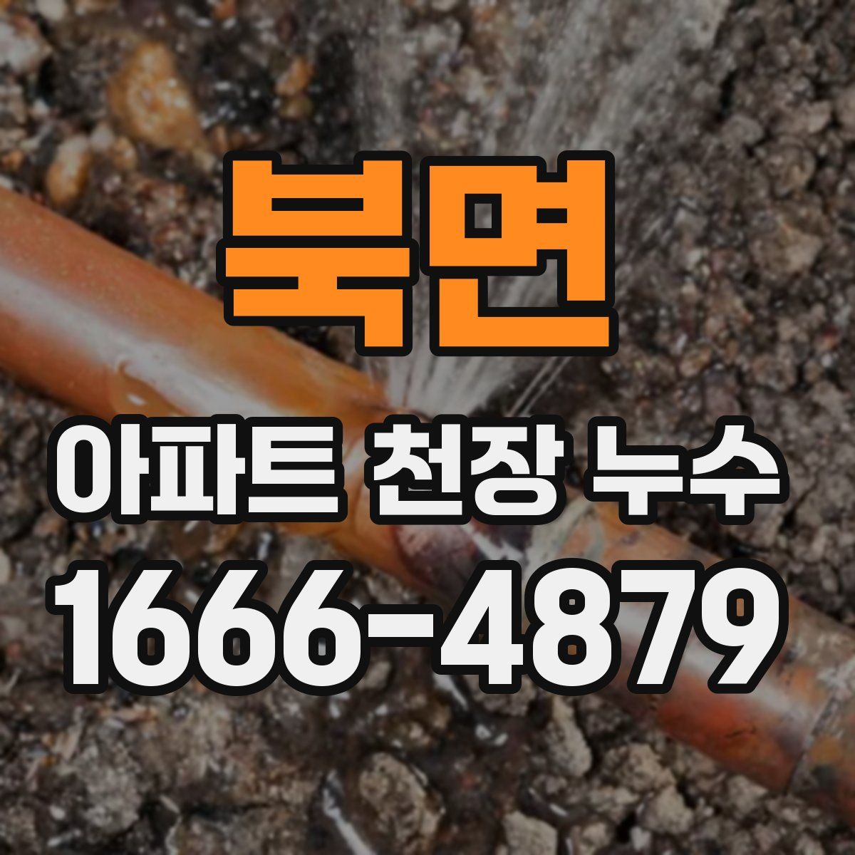 북면 아파트 천장 누수