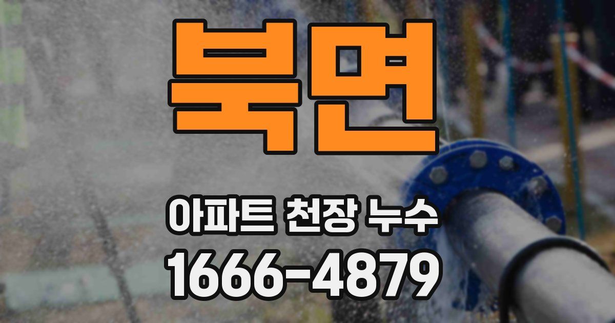 북면 아파트 천장 누수