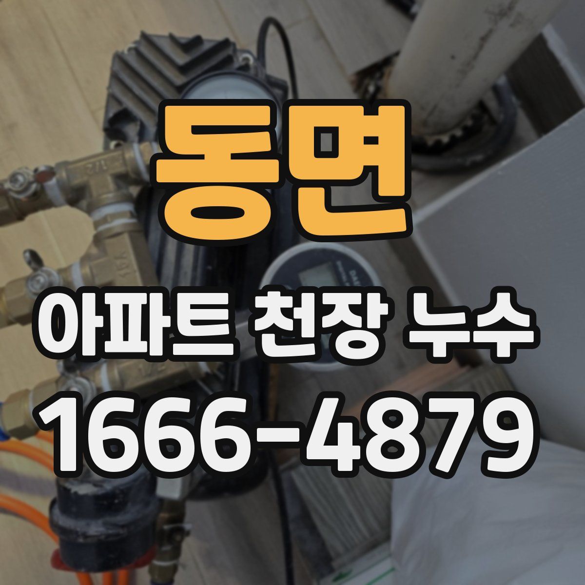 동면 아파트 천장 누수